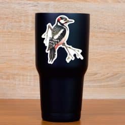 StickerTalk Great Spotted Woodpecker on Branch Vinyl Sticker Sheet, 3 inches by 3.5 inches