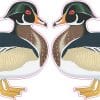 StickerTalk Mirrored Wood Duck Vinyl Sticker Sheet, 3 inches by 2.5 inches