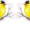 StickerTalk Mirrored American Goldfinch on Tree Branch, 3 inches by 2.5 inches