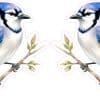 StickerTalk Blue Jay on Branch Vinyl Sticker Sheet, 3 inches by 3 inches