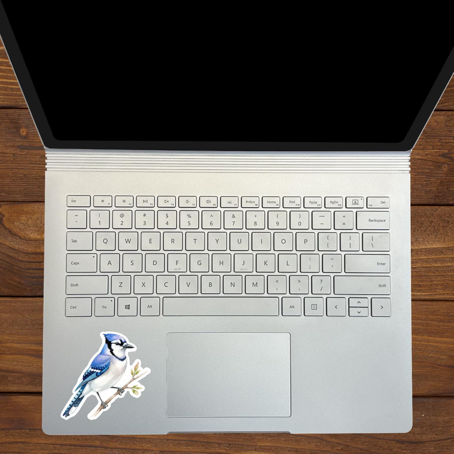 StickerTalk Blue Jay on Branch Vinyl Sticker Sheet, 3 inches by 3 inches