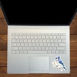 StickerTalk Blue Jay on Branch Vinyl Sticker Sheet, 3 inches by 3 inches