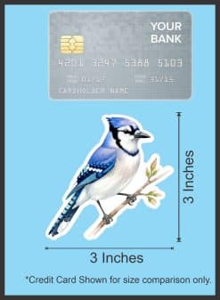 StickerTalk Blue Jay on Branch Vinyl Sticker Sheet, 3 inches by 3 inches