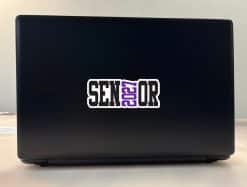 StickerTalk Senior 2027 Purple Vinyl Sticker Sheet, 5 inches by 2 inches