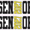 StickerTalk Yellow 2027 Senior Vinyl Sticker Sheet, 5 inches by 2 inches