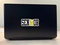 StickerTalk Yellow 2027 Senior Vinyl Sticker Sheet, 5 inches by 2 inches