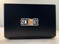 StickerTalk Orange 2027 Senior Vinyl Sticker Sheet, 5 inches by 2 inches