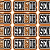 StickerTalk Black and Orange Senior 2027 Vinyl Sticker Sheet, 2 inches by 1 inch