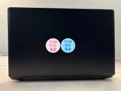 StickerTalk Gender Reveal Team Girl and Boy Vinyl Sticker Sheet, 2 inches by 2 inches