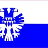 StickerTalk Arnhem Netherlands City Flag Vinyl Sticker, 5 inches by 3 inches