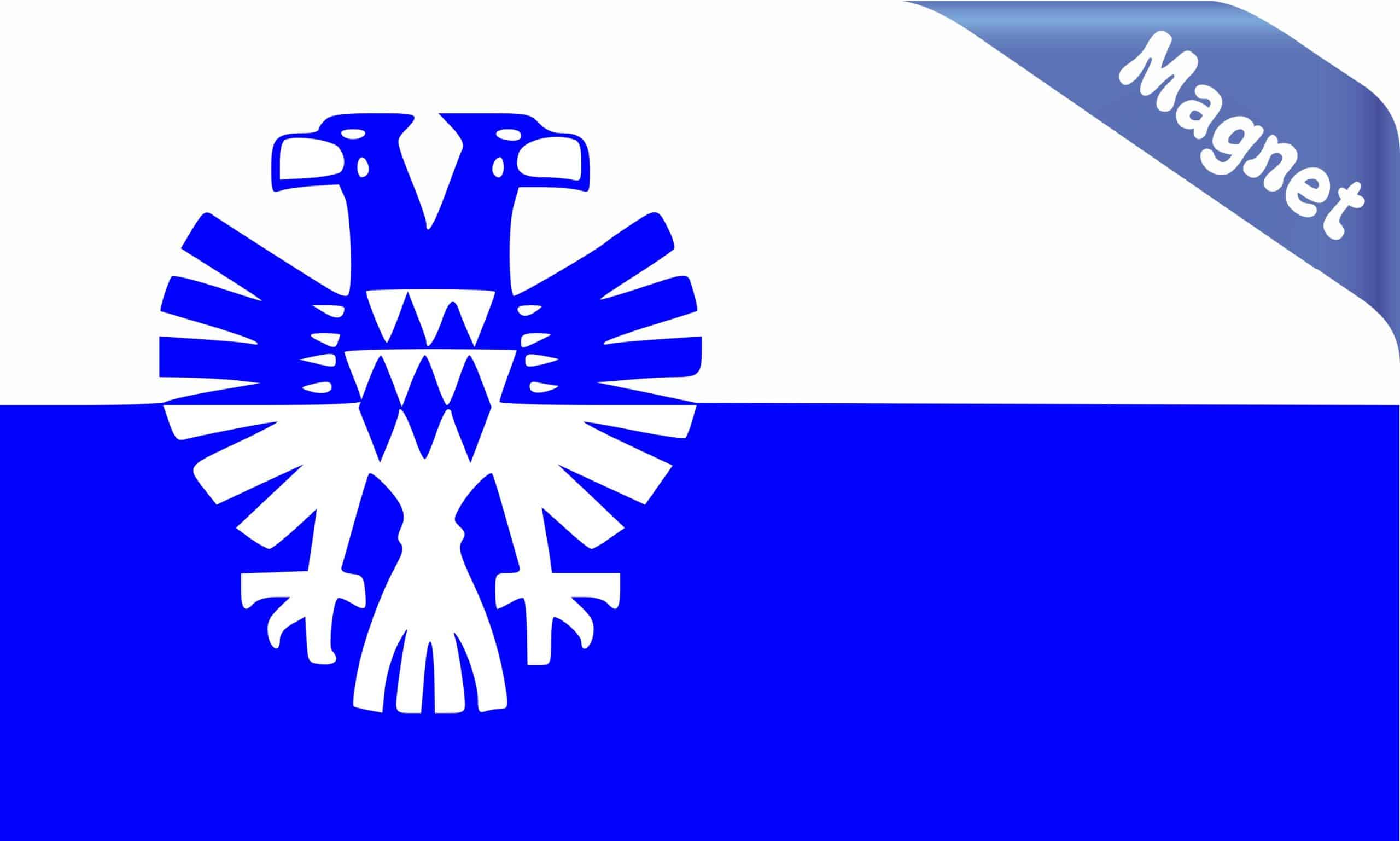 StickerTalk Arnhem Netherlands City Flag Magnet, 5 inches by 3 inches