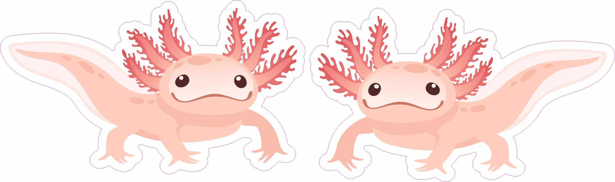StickerTalk Mirrored Pink Axolotl Sticker Sheet, 3.5 inches by 2 inches