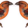 StickerTalk Mirrored Red Crossbill Vinyl Sticker Sheet, 2.5 inches by 1.8 inches