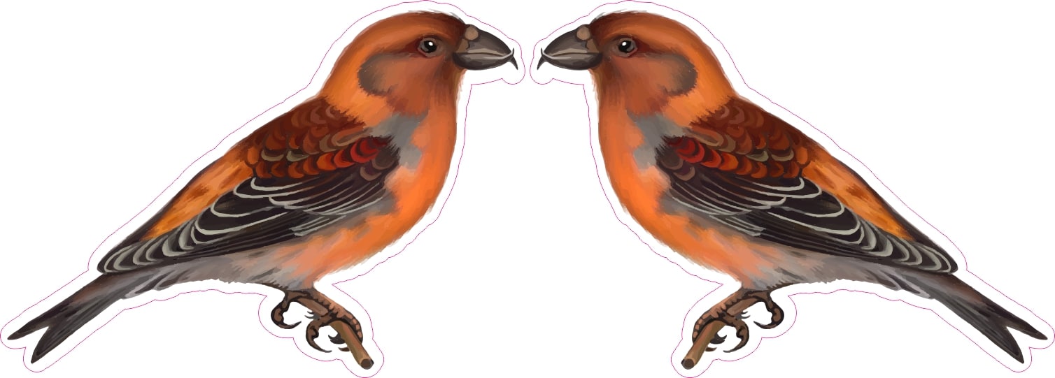 StickerTalk Mirrored Red Crossbill Vinyl Sticker Sheet, 2.5 inches by 1.8 inches