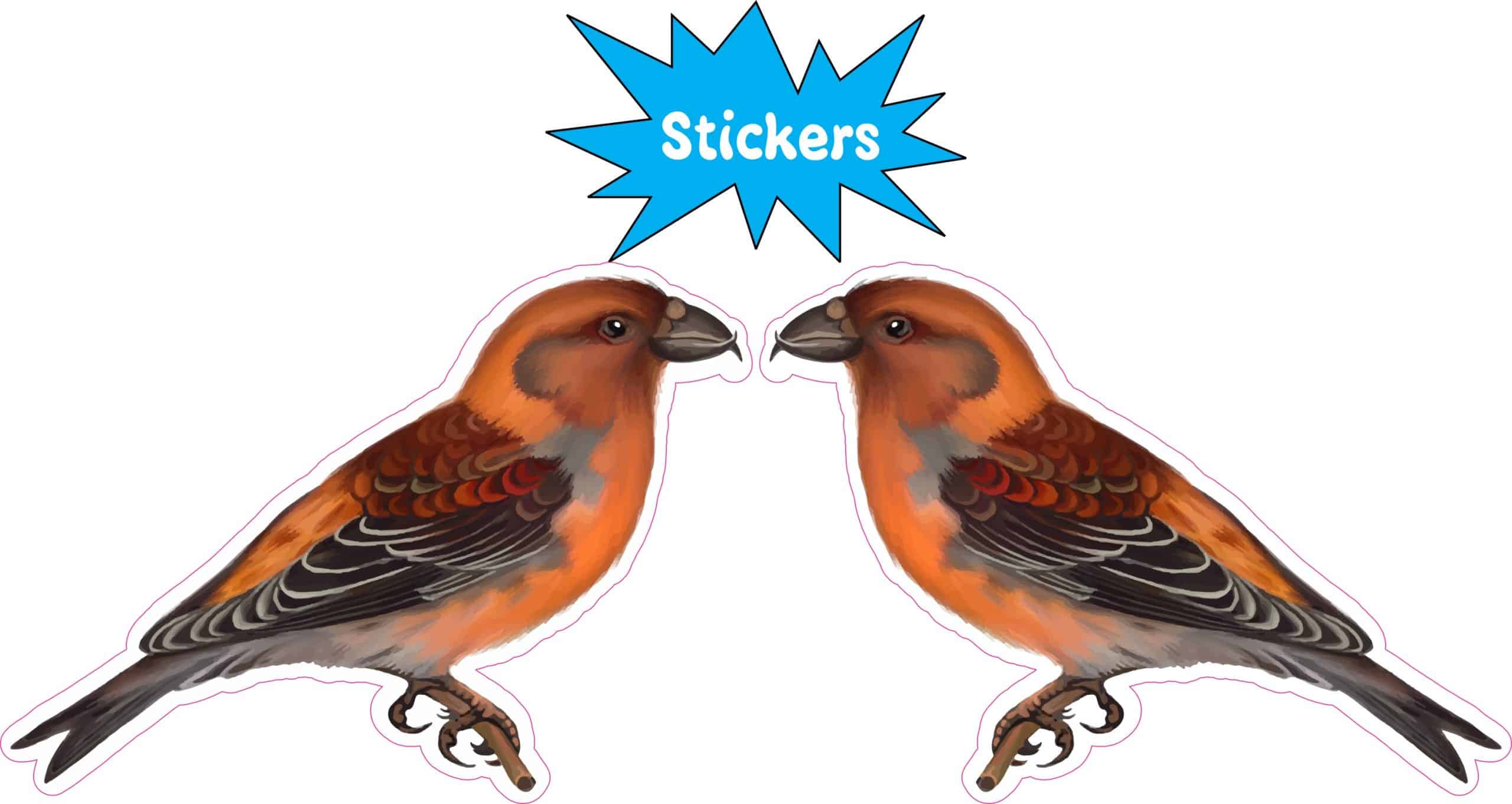 StickerTalk Mirrored Red Crossbill Vinyl Sticker Sheet, 2.5 inches by 1.8 inches