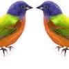 StickerTalk Mirrored Painted Bunting Bird Vinyl Sticker Sheet, 2.5 inches by 2.25 inches