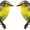 StickerTalk Mirror Image Pine Warblers on Branch Vinyl Sticker Sheet, 2.5 inches by 1.8 inches