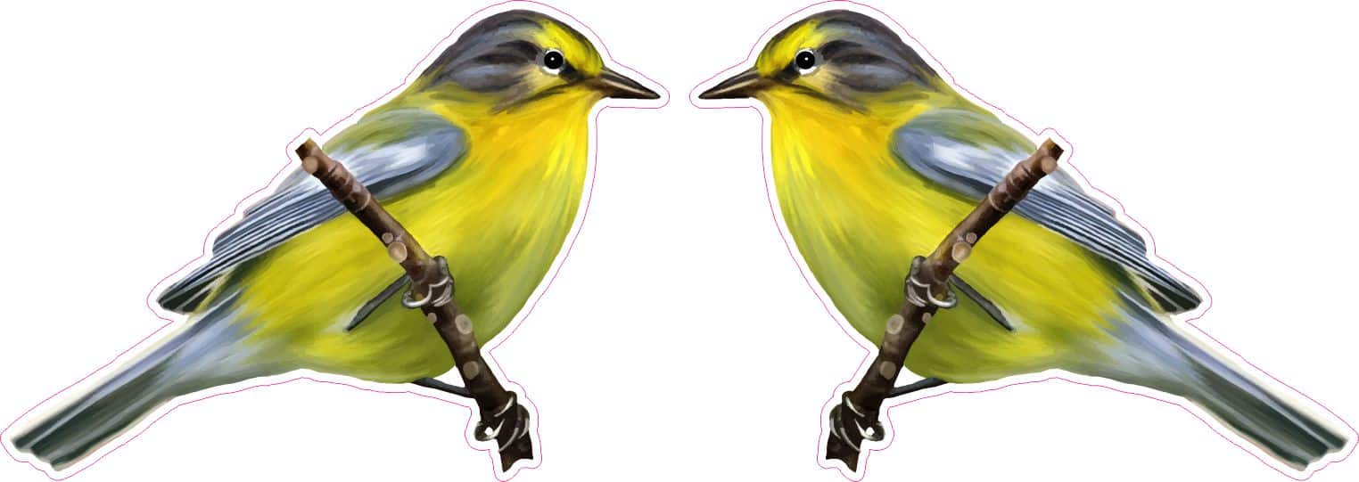 StickerTalk Mirror Image Pine Warblers on Branch Vinyl Sticker Sheet, 2.5 inches by 1.8 inches