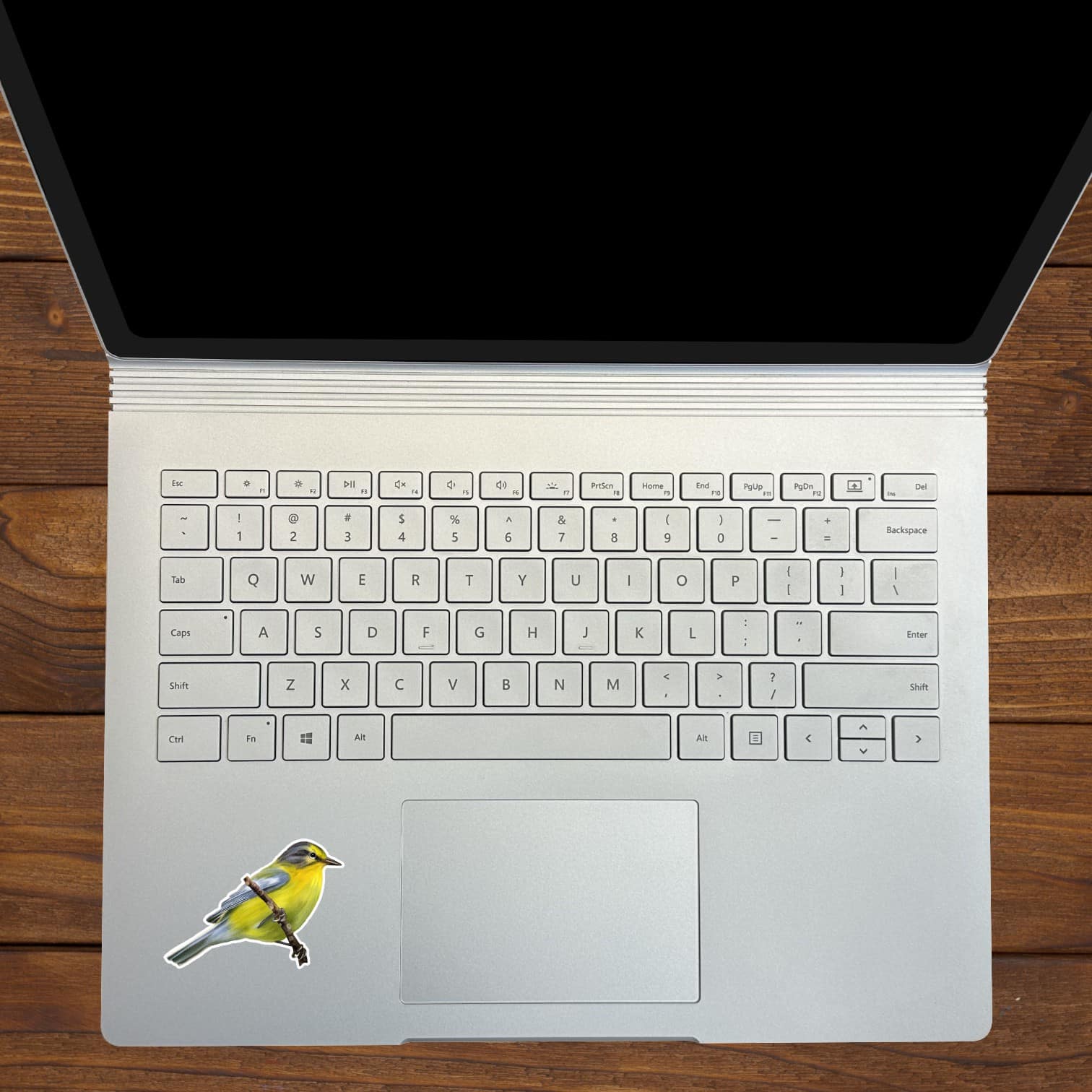 StickerTalk Mirror Image Pine Warblers on Branch Vinyl Sticker Sheet, 2.5 inches by 1.8 inches
