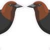 StickerTalk Mirror Image Brown-Headed Cowbirds Vinyl Sticker Sheet, 3 inches by 1.8 inches