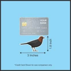 StickerTalk Mirror Image Brown-Headed Cowbirds Vinyl Sticker Sheet, 3 inches by 1.8 inches