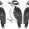 StickerTalk Downy Woodpecker Bird Vinyl Sticker Sheet, 1.4 inches by 2.5 inches