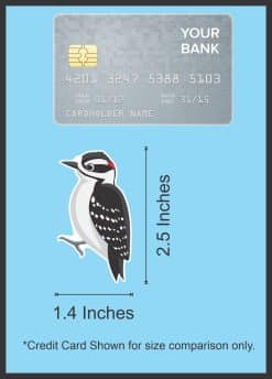StickerTalk Downy Woodpecker Bird Vinyl Sticker Sheet, 1.4 inches by 2.5 inches