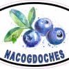 StickerTalk Nacogdoches Blueberries Vinyl Sticker, 5 inches by 3 inches