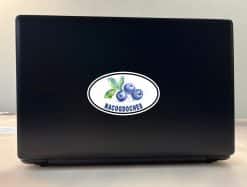 StickerTalk Nacogdoches Blueberries Vinyl Sticker, 5 inches by 3 inches