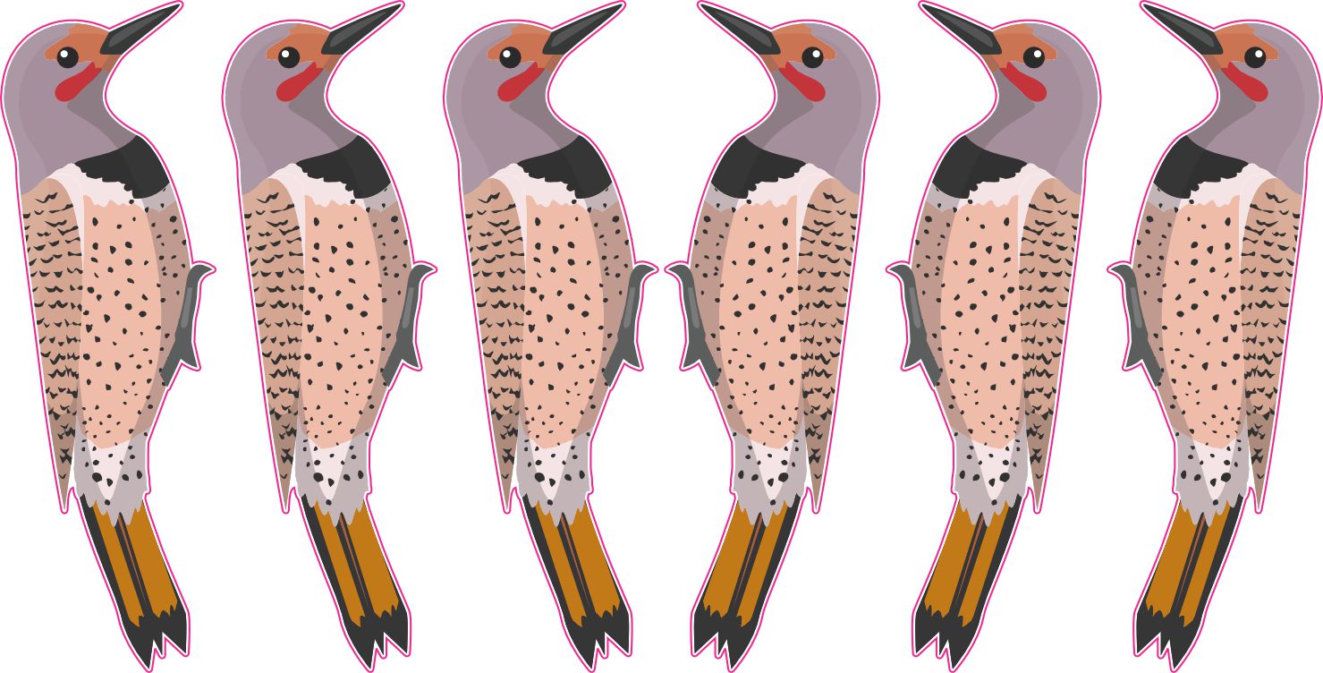 StickerTalk Northern Flicker Vinyl Sticker Sheet, 0.8 inches by 2.5 inches