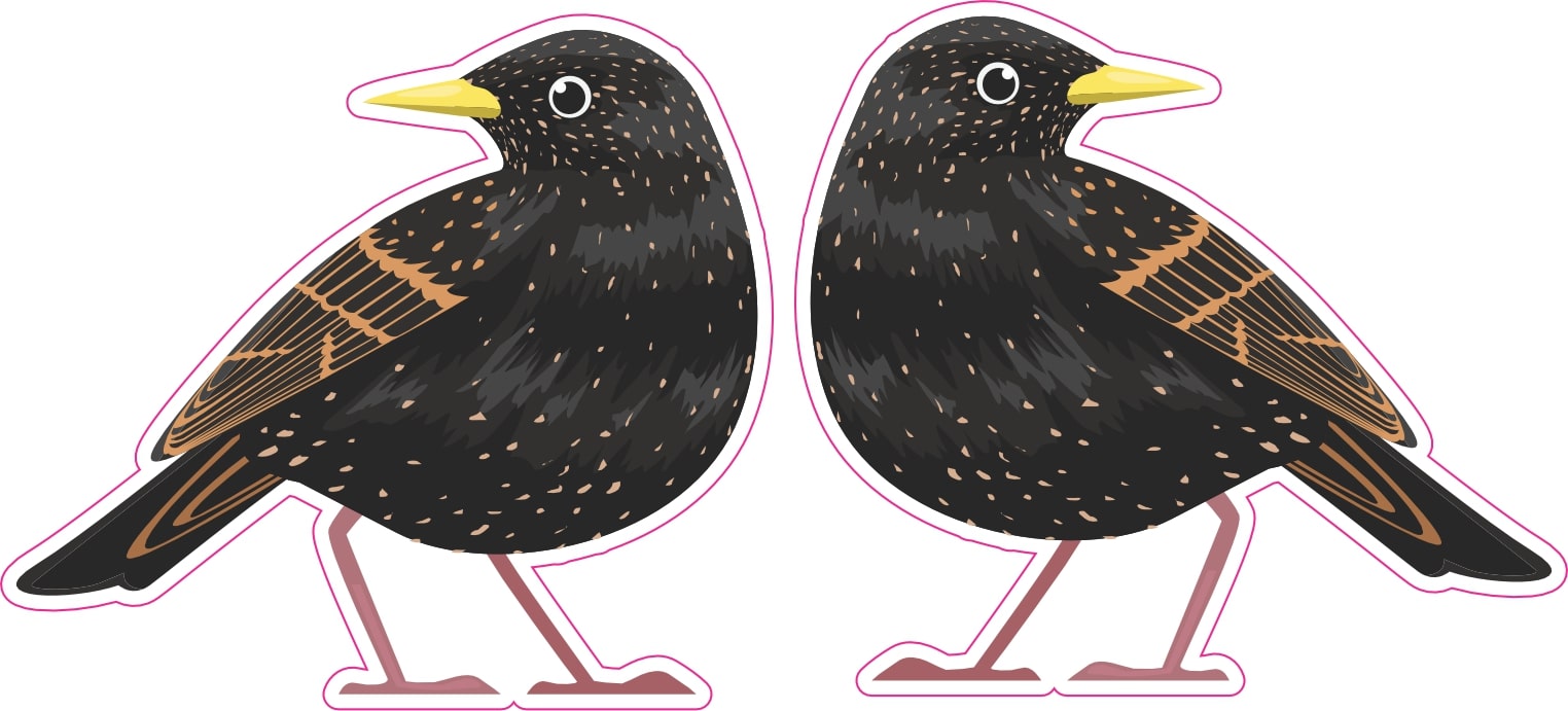 StickerTalk Mirrored Starling Bird Vinyl Sticker Sheet, 2.5 inches by 2.25 inches