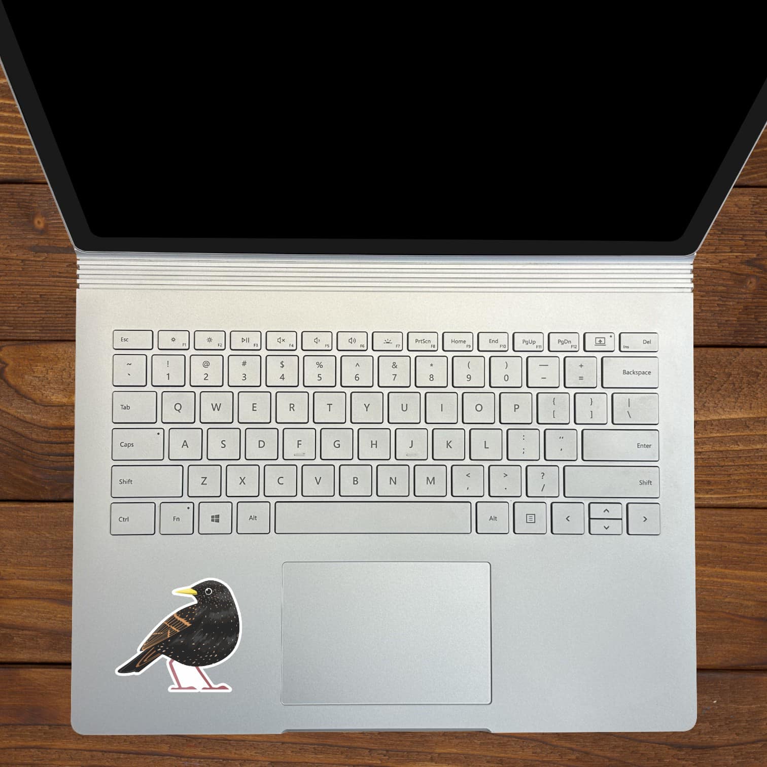 StickerTalk Mirrored Starling Bird Vinyl Sticker Sheet, 2.5 inches by 2.25 inches