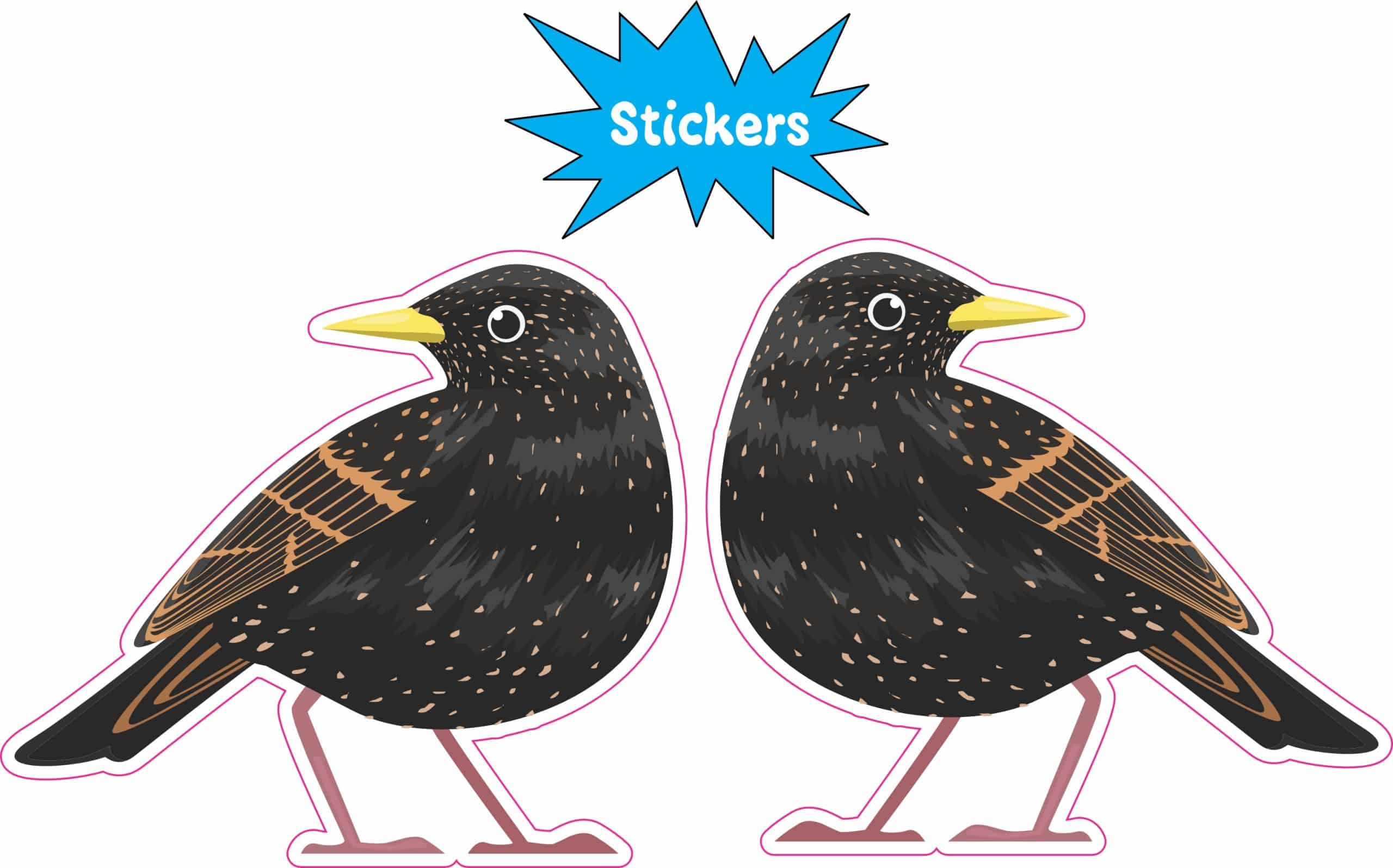 StickerTalk Mirrored Starling Bird Vinyl Sticker Sheet, 2.5 inches by 2.25 inches