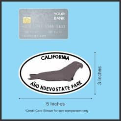 StickerTalk Año Nuevo State Park Sticker, 5 inches by 3 inches