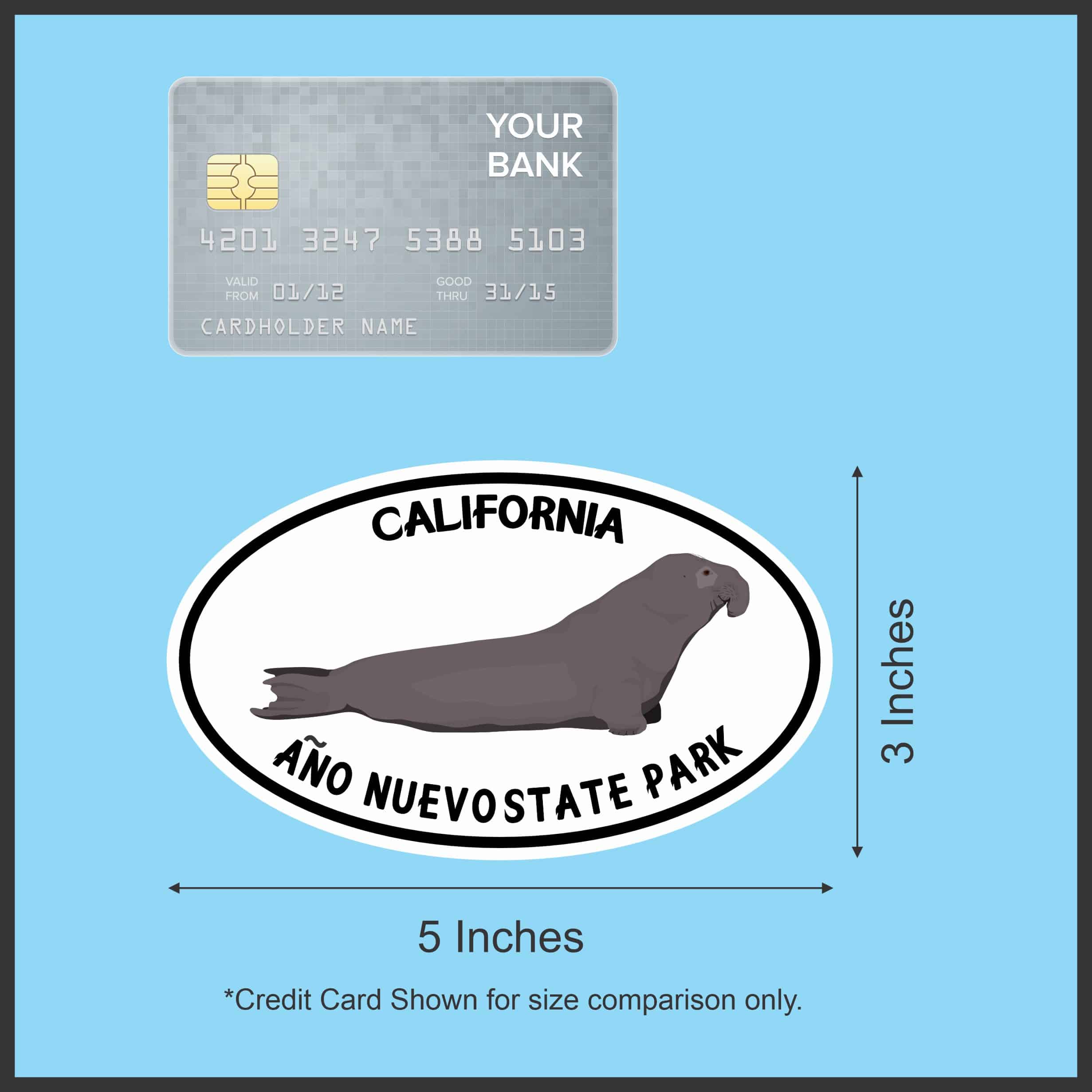 StickerTalk Año Nuevo State Park Sticker, 5 inches by 3 inches