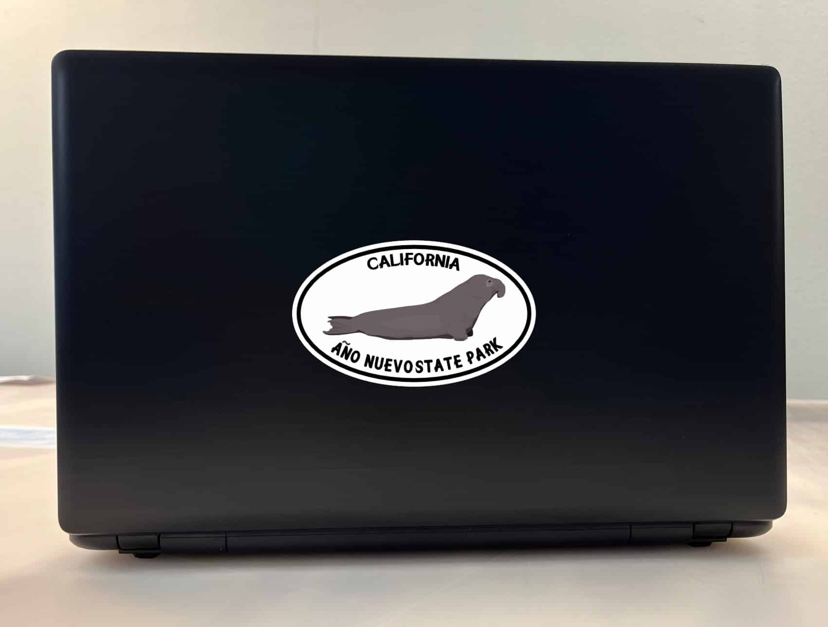 StickerTalk Año Nuevo State Park Sticker, 5 inches by 3 inches