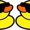 StickerTalk Cool Rubber Ducks Sticker, 2.5 inches by 2.5 inches