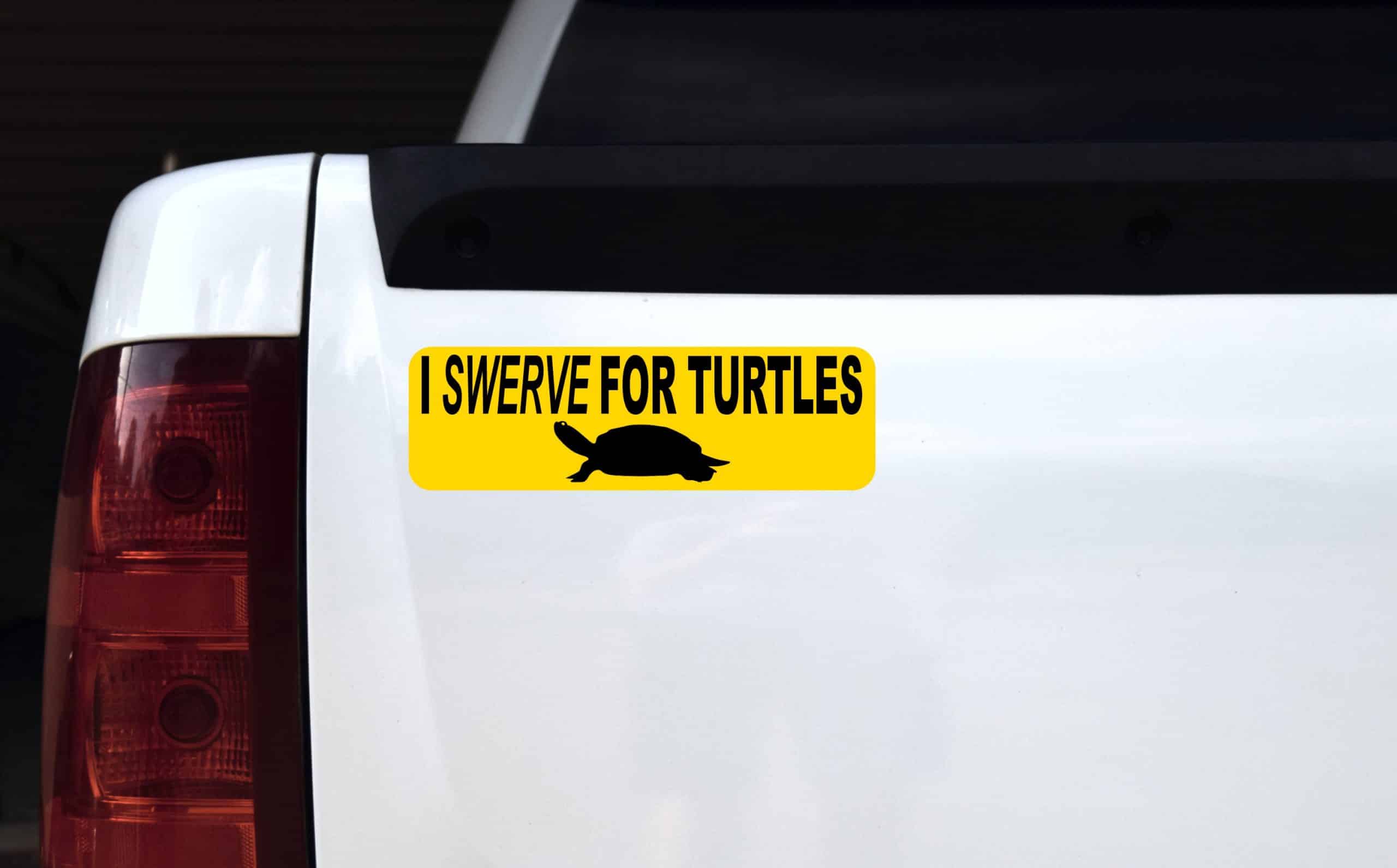 StickerTalk I Swerve for Turtles Magnet, 10 Inches by 3 Inches