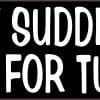 StickerTalk May Suddenly Serve for Turtles Magnet, 10 Inches by 3 Inches