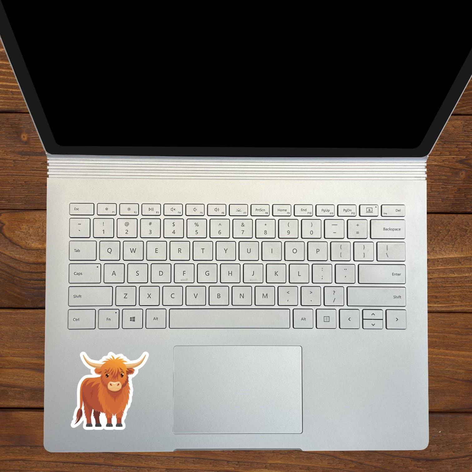 StickerTalk Highland Cow Sticker, 2.5 inches by 2.5 inches