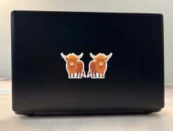 StickerTalk Highland Cow Sticker, 2.5 inches by 2.5 inches