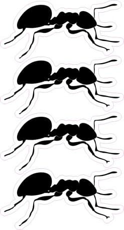 StickerTalk Ant Silhouette Sticker, 3 inches by 1.5 inches