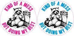 StickerTalk Kind of a Mess Raccoon Stickers, 3 Inches by 3 Inches