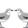 StickerTalk Mockingbird Pair Sticker, 2.5 inches by 2.5 inches